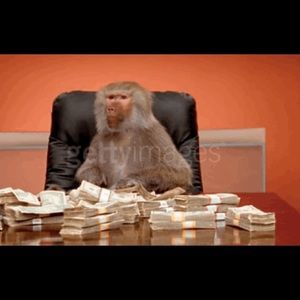 Meet your Posher, Cheyne